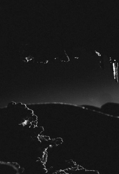 Spine Challenger South